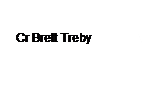 Text Box: Cr Brett Treby