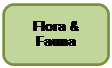 Rounded Rectangle: Flora & Fauna