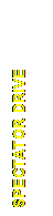 Text Box: SPECTATOR DRIVE 