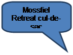 Rounded Rectangular Callout: Mossfiel Retreat cul-de-sac