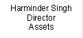 Harminder Singh
Director
Assets
