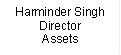Harminder Singh
Director
Assets

