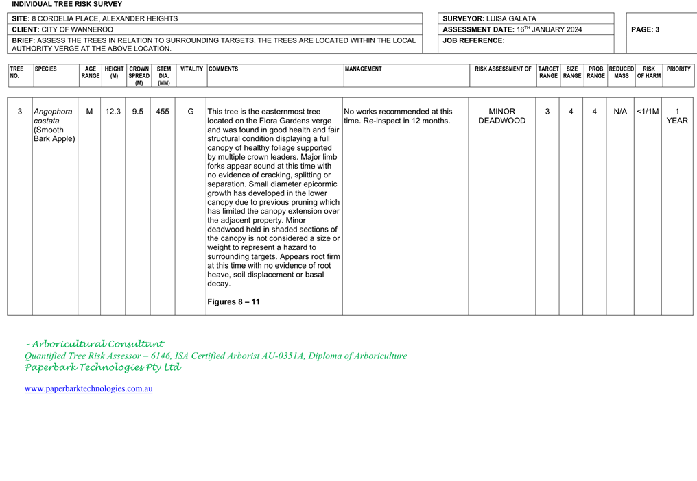 A screenshot of a computer

Description automatically generated