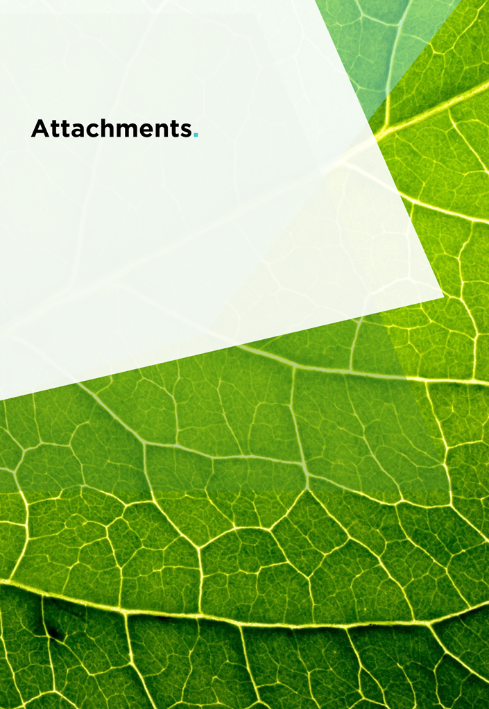 A close-up of a leaf

Description automatically generated