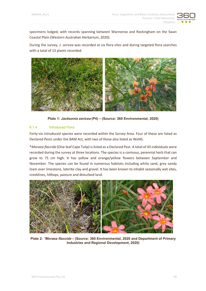 A close-up of a page

Description automatically generated