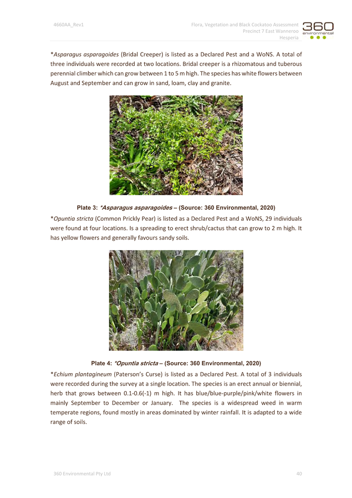 A close-up of a page

Description automatically generated