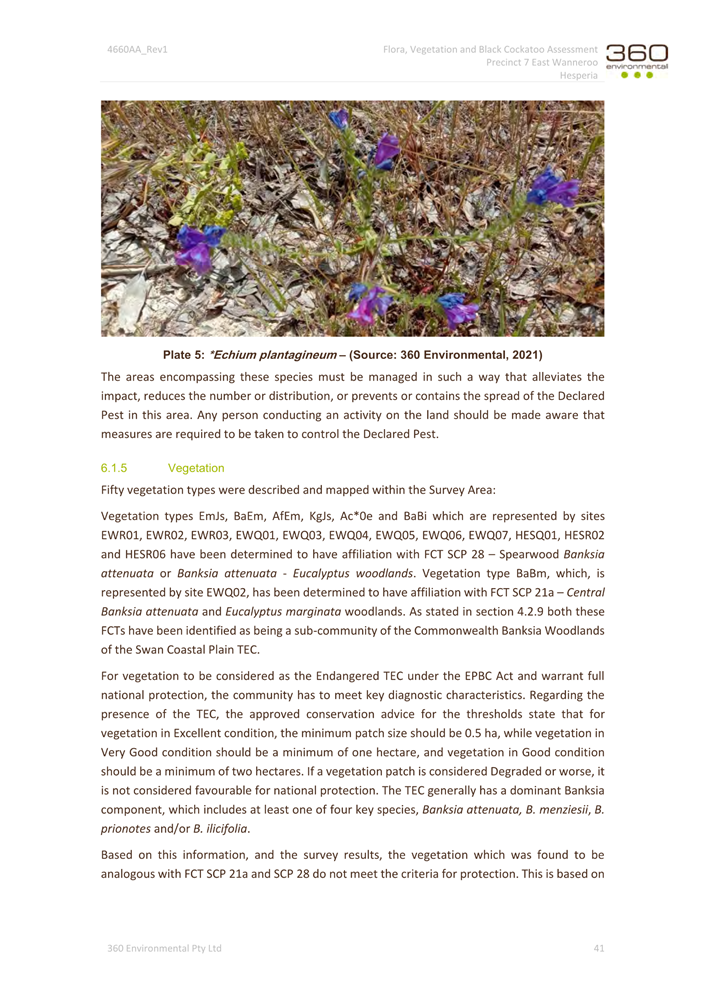 A close-up of a document

Description automatically generated