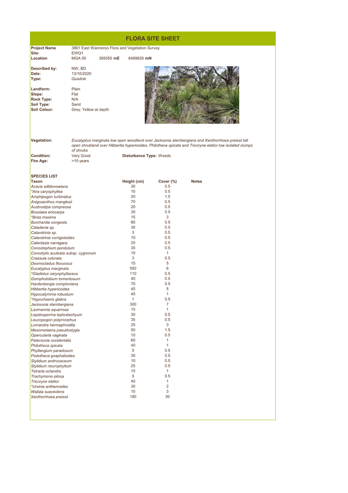 A screenshot of a document

Description automatically generated