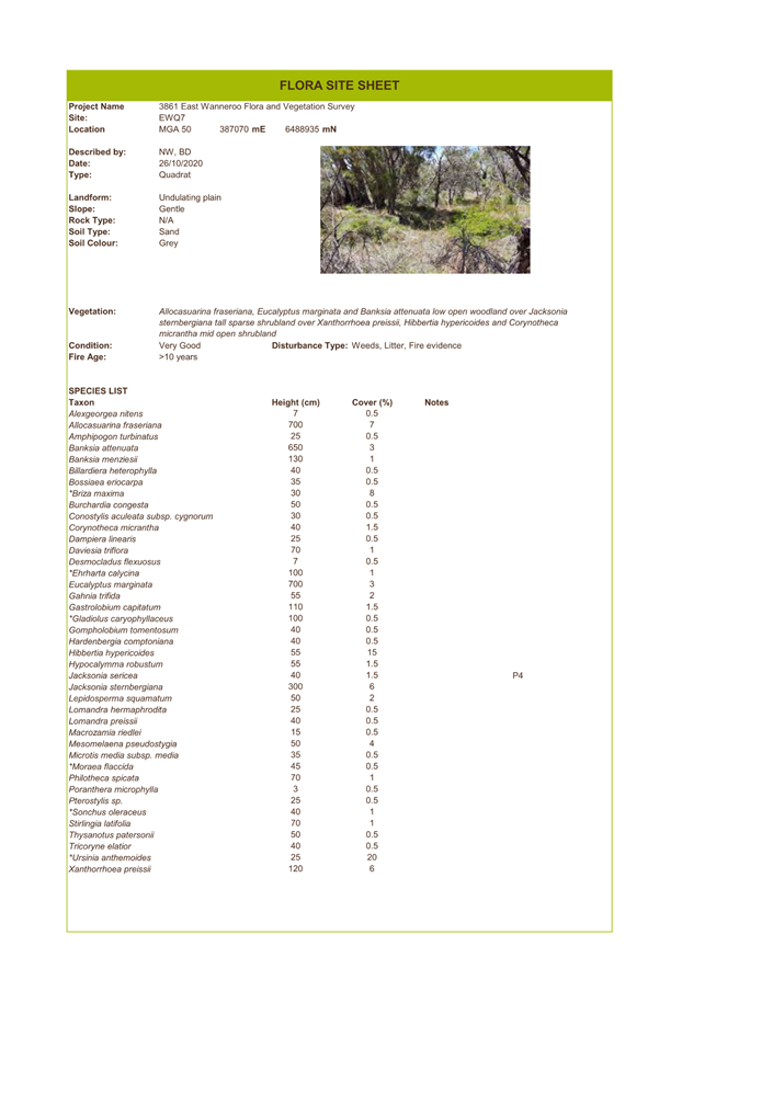 A screenshot of a document

Description automatically generated
