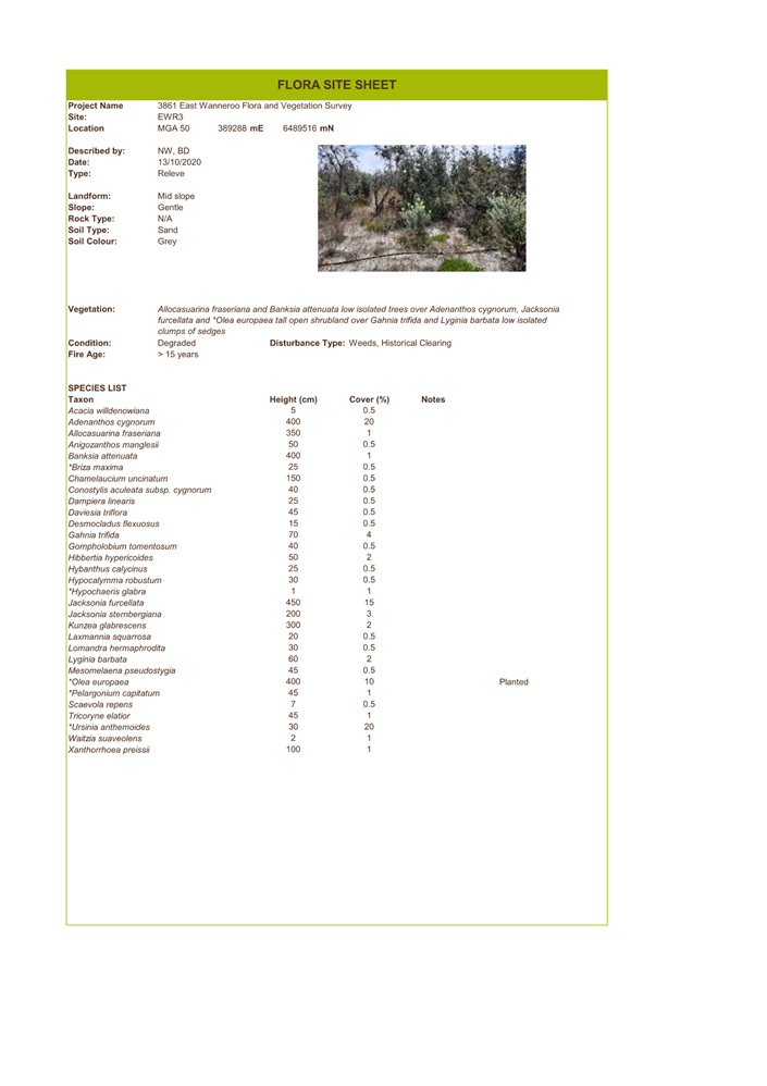 A screenshot of a document

Description automatically generated