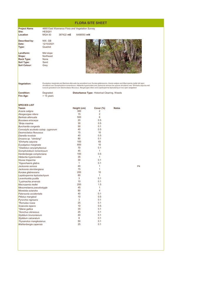 A screenshot of a document

Description automatically generated