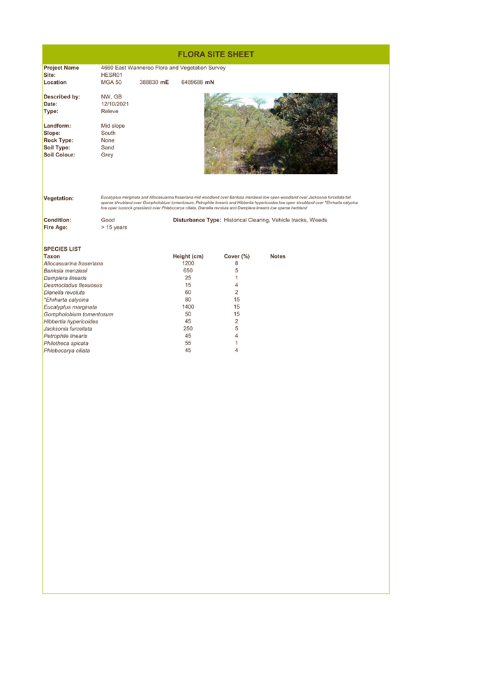A screenshot of a document

Description automatically generated