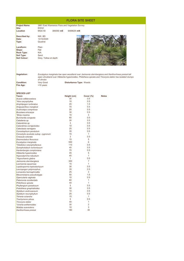 A screenshot of a document

Description automatically generated