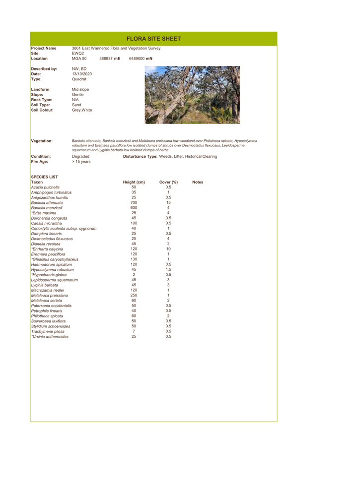 A screenshot of a document

Description automatically generated
