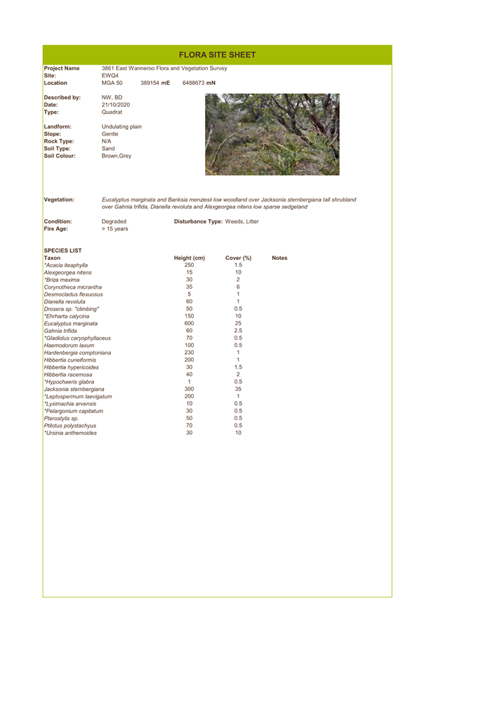 A screenshot of a document

Description automatically generated
