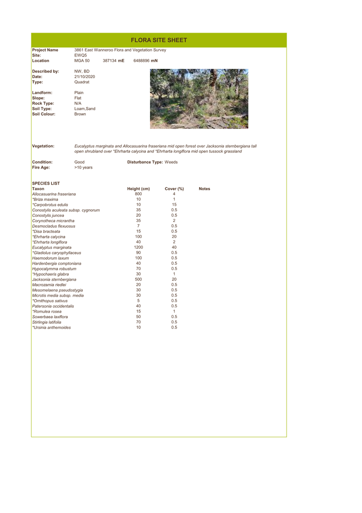 A screenshot of a document

Description automatically generated
