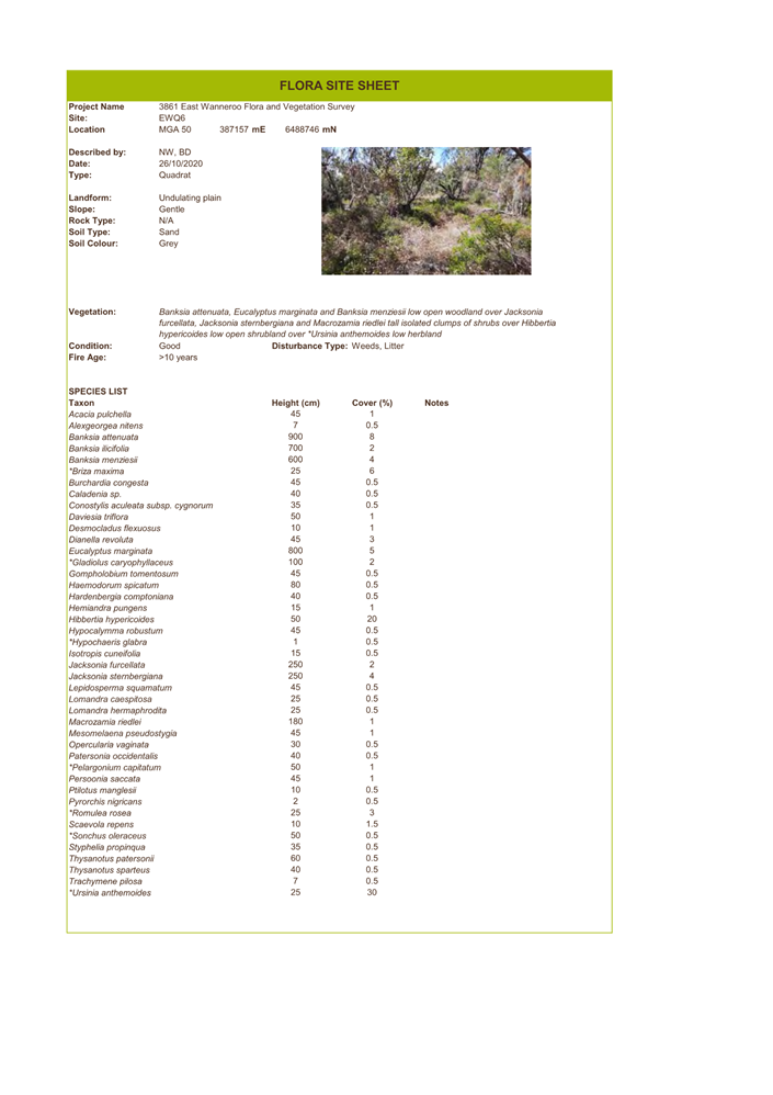 A screenshot of a document

Description automatically generated