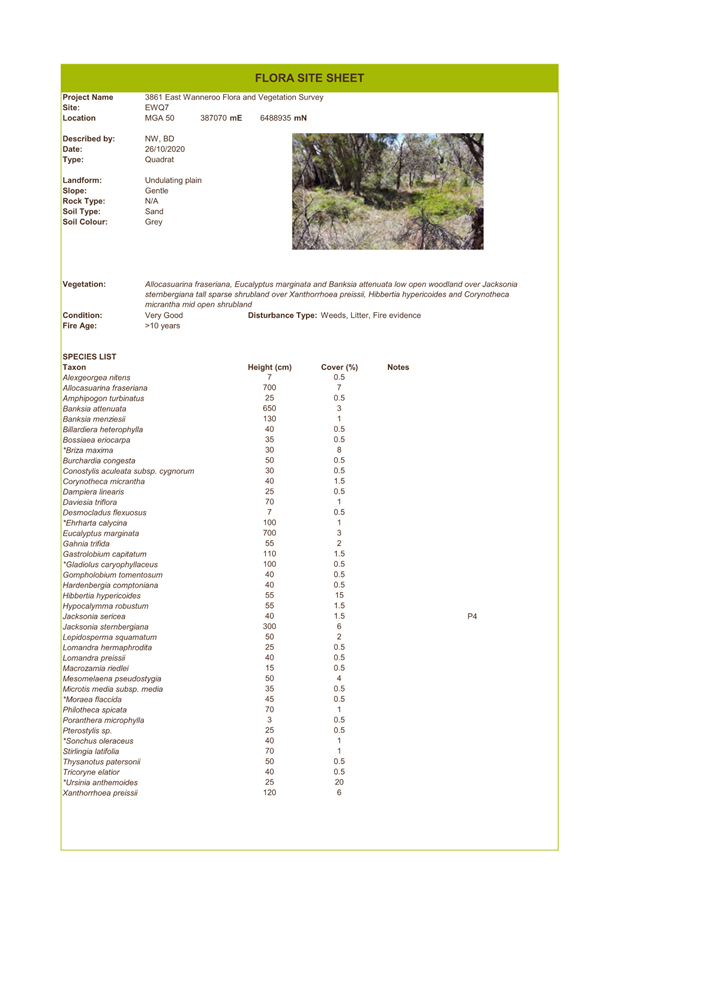 A screenshot of a document

Description automatically generated