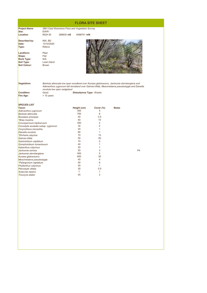 A screenshot of a document

Description automatically generated