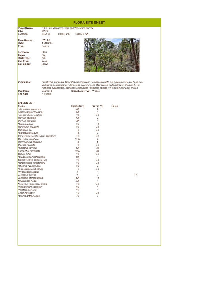 A screenshot of a document

Description automatically generated
