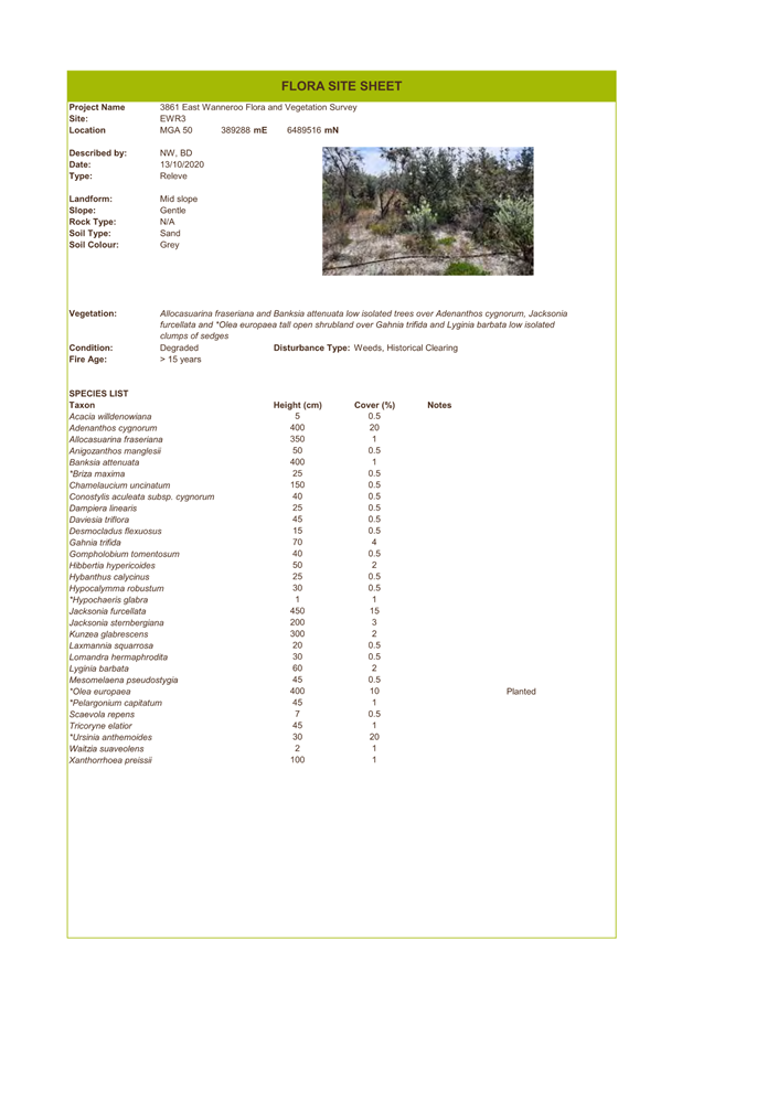 A screenshot of a document

Description automatically generated