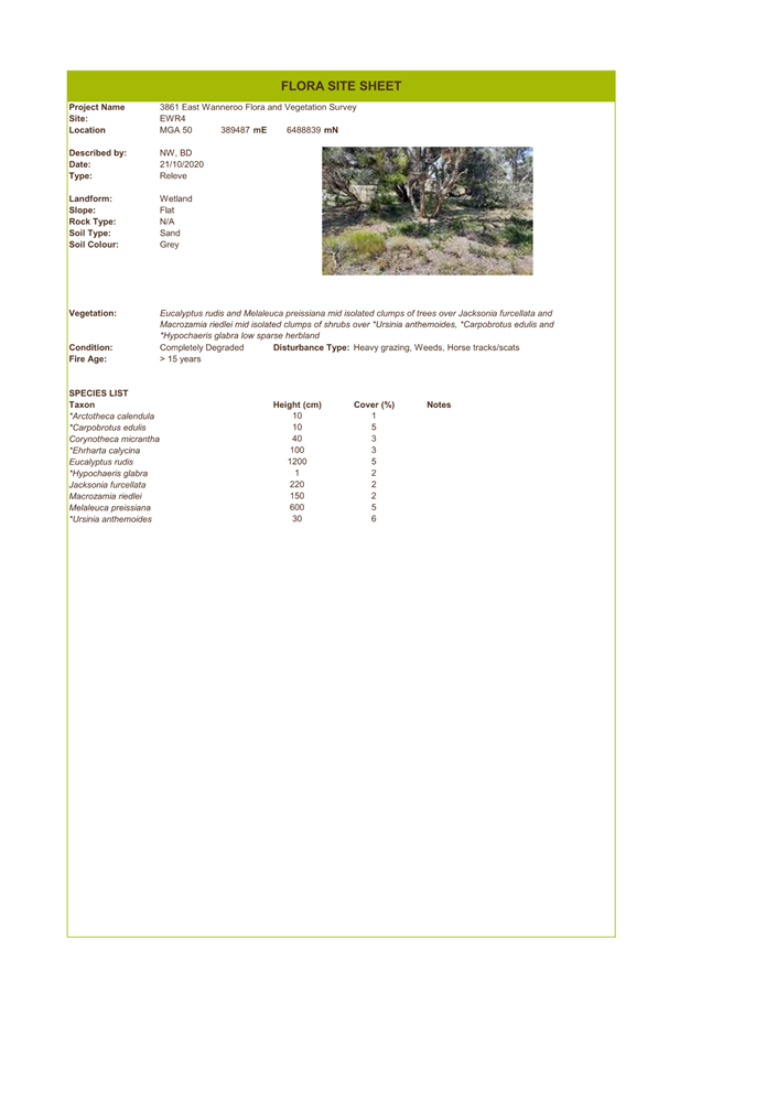 A screenshot of a document

Description automatically generated