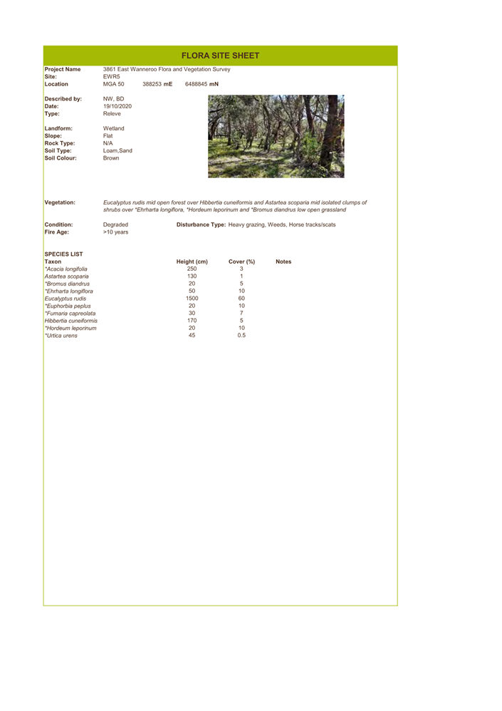 A screenshot of a document

Description automatically generated