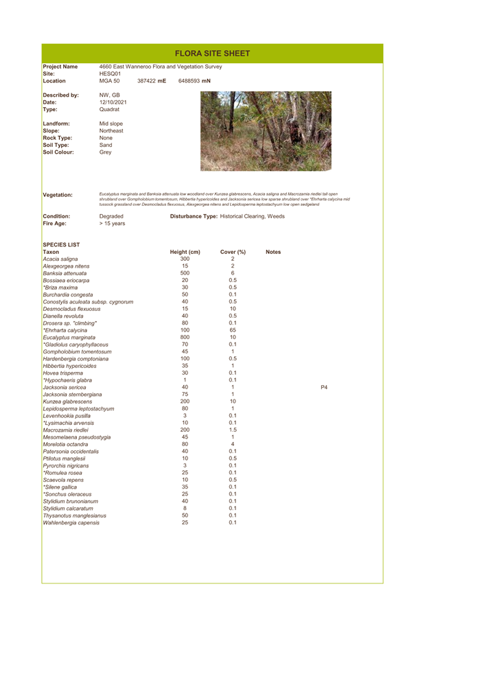 A screenshot of a document

Description automatically generated