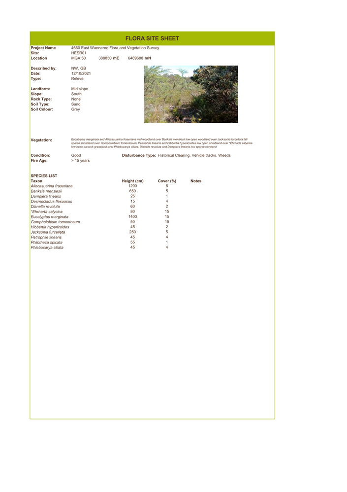 A screenshot of a document

Description automatically generated