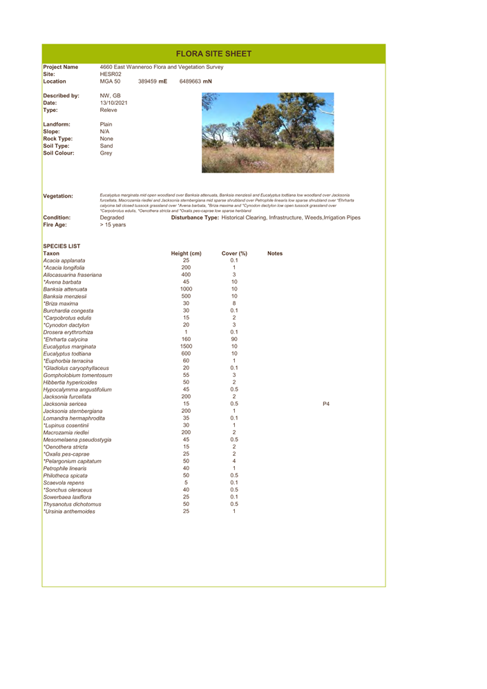 A screenshot of a document

Description automatically generated