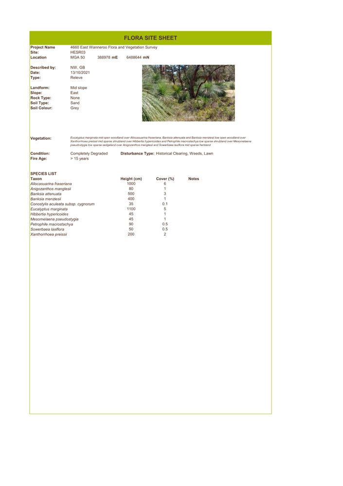 A screenshot of a document

Description automatically generated