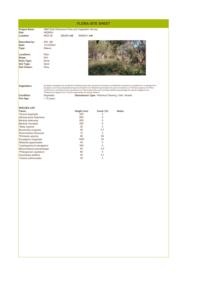 A screenshot of a document

Description automatically generated
