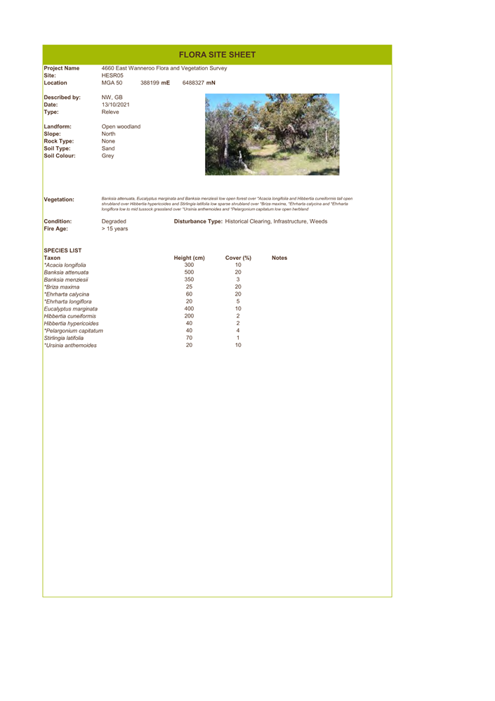 A screenshot of a document

Description automatically generated
