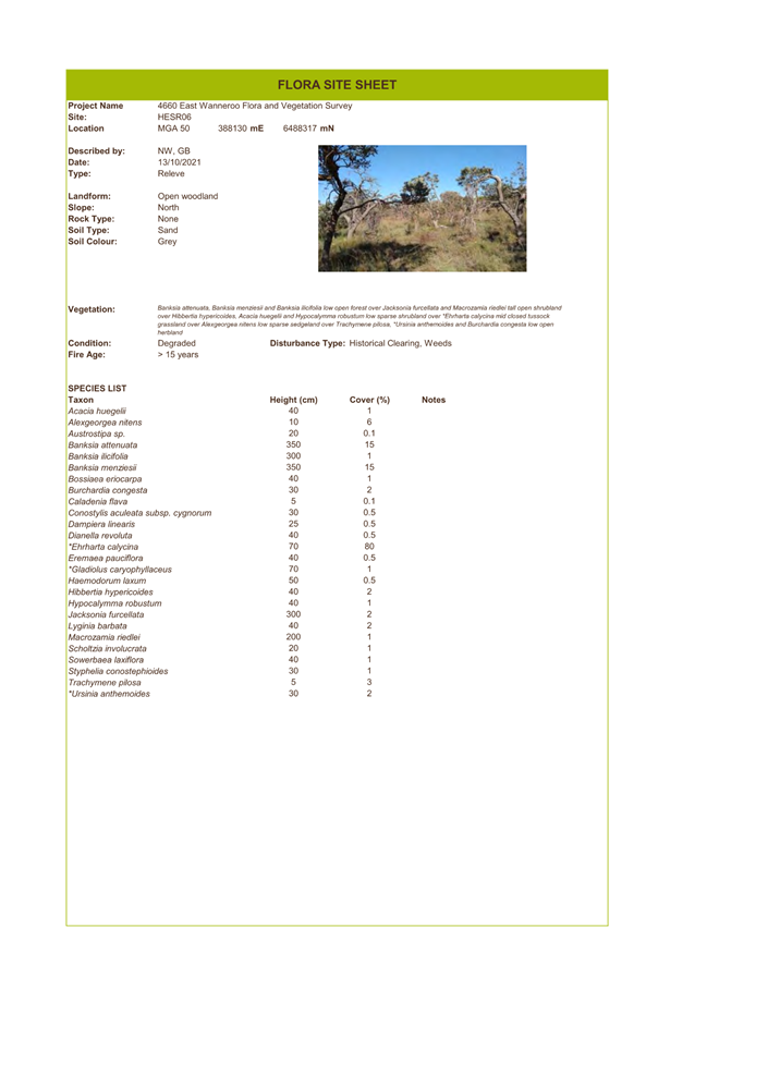 A screenshot of a document

Description automatically generated