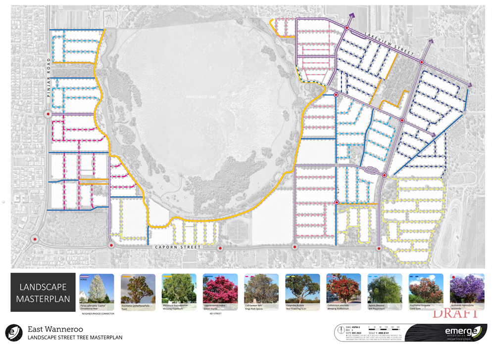 A map of a neighborhood

Description automatically generated