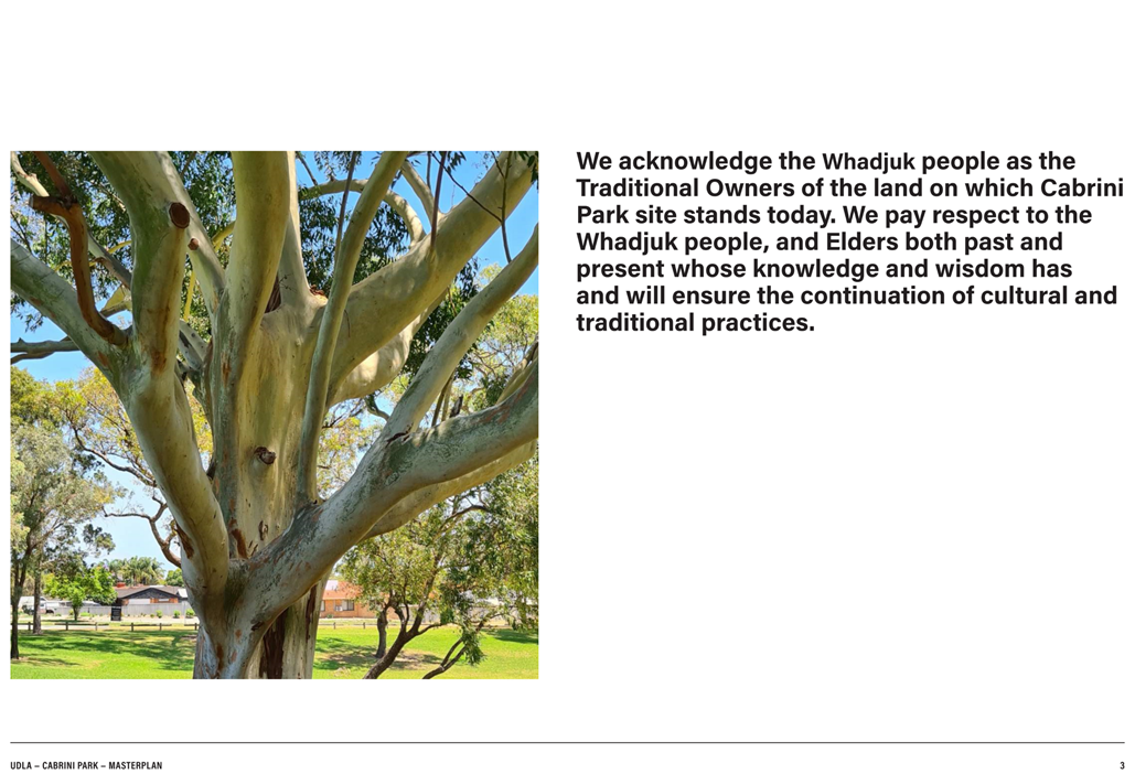A close-up of a tree

Description automatically generated
