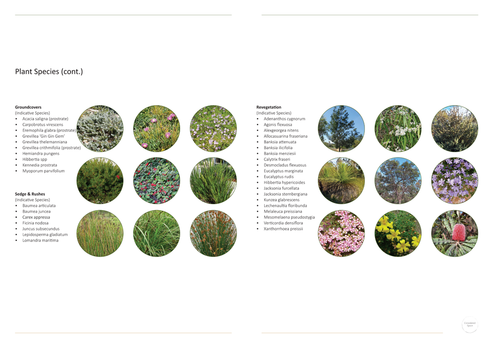 A close-up of a plant

Description automatically generated
