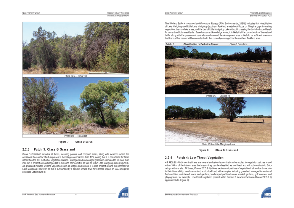 A page of a book with trees

Description automatically generated