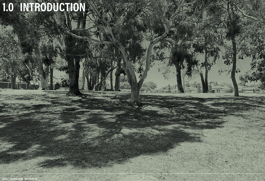 A group of trees in a field

Description automatically generated
