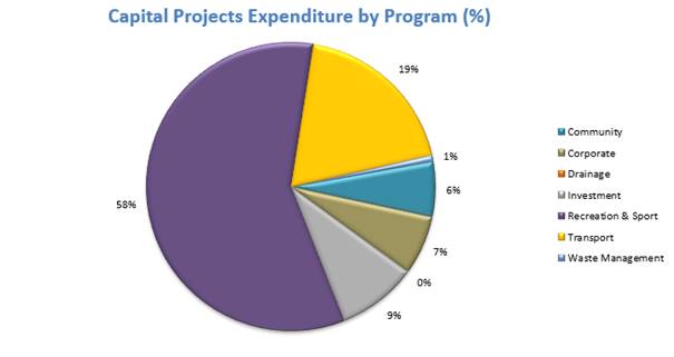 A pie chart with different colored sections

Description automatically generated