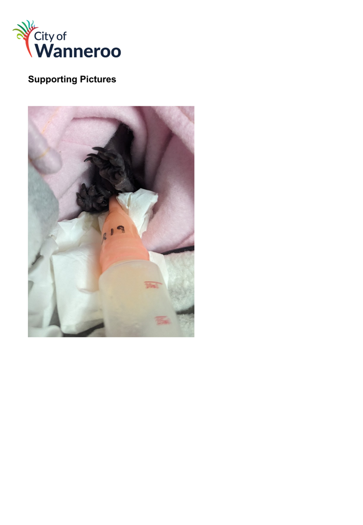 A baby bottle with a baby's nose

Description automatically generated