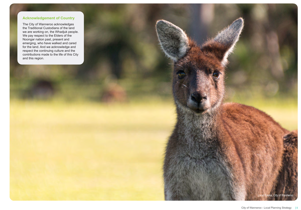 A kangaroo standing in a field

AI-generated content may be incorrect.