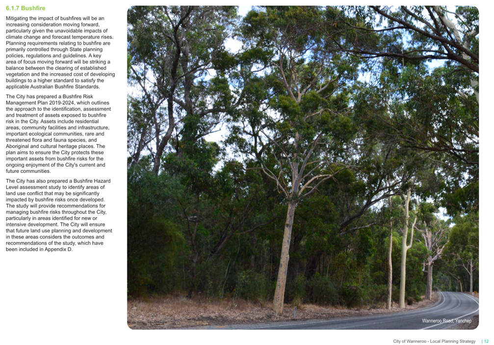 A road with trees and a telephone pole

AI-generated content may be incorrect.