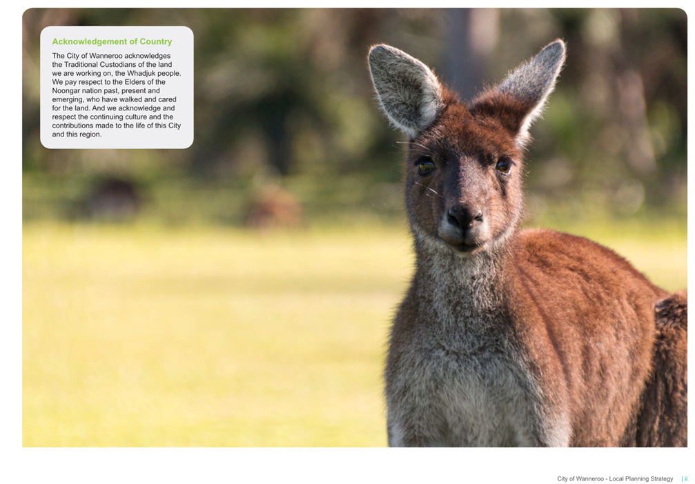A kangaroo standing in a field

AI-generated content may be incorrect.