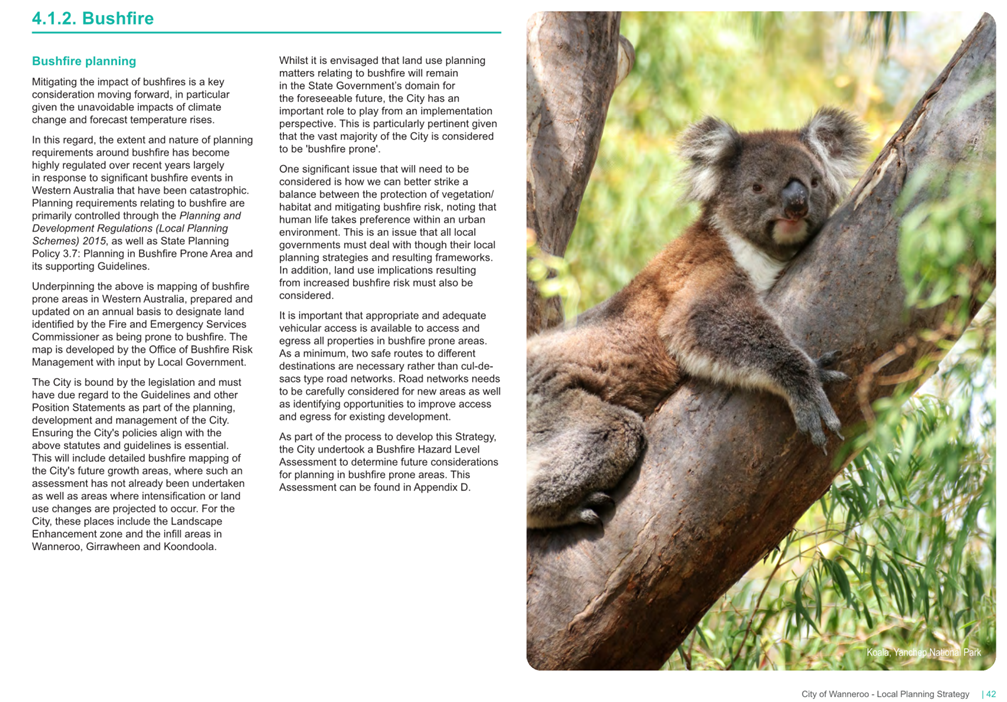 A koala bear in a tree

AI-generated content may be incorrect.