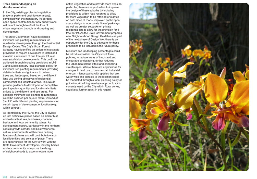 A close-up of a flower

AI-generated content may be incorrect.