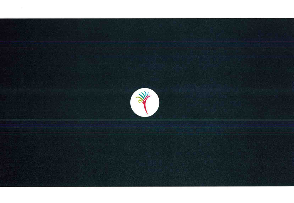 A black carpet with a white circle with a red and blue design

AI-generated content may be incorrect.